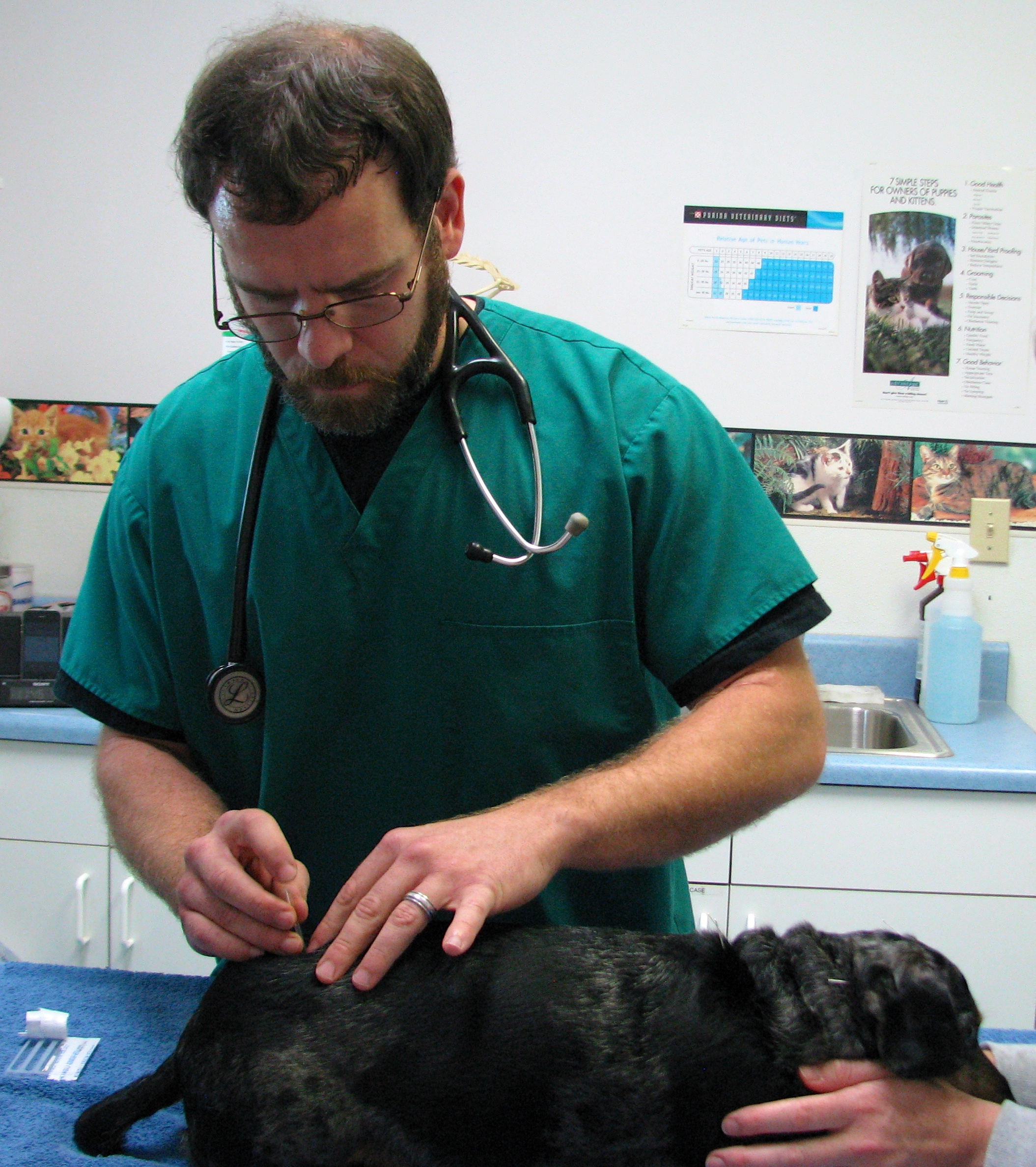 Hillman Veterinary Clinic - Veterinarian in Pensacola, FL US :: Dr. Chris  Lewis Hillman Veterinary Clinic - Veterinarian in Pensacola, FL US